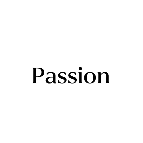 Passion Business Coaching Logo
